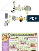 Ale Proceso de La Leche