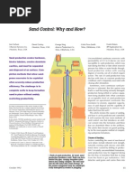 Sand Control PDF