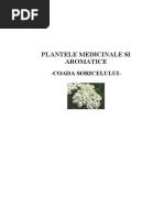 Plante Medicinale