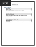 Download Company Audit by Yakshith Kotian SN211173691 doc pdf