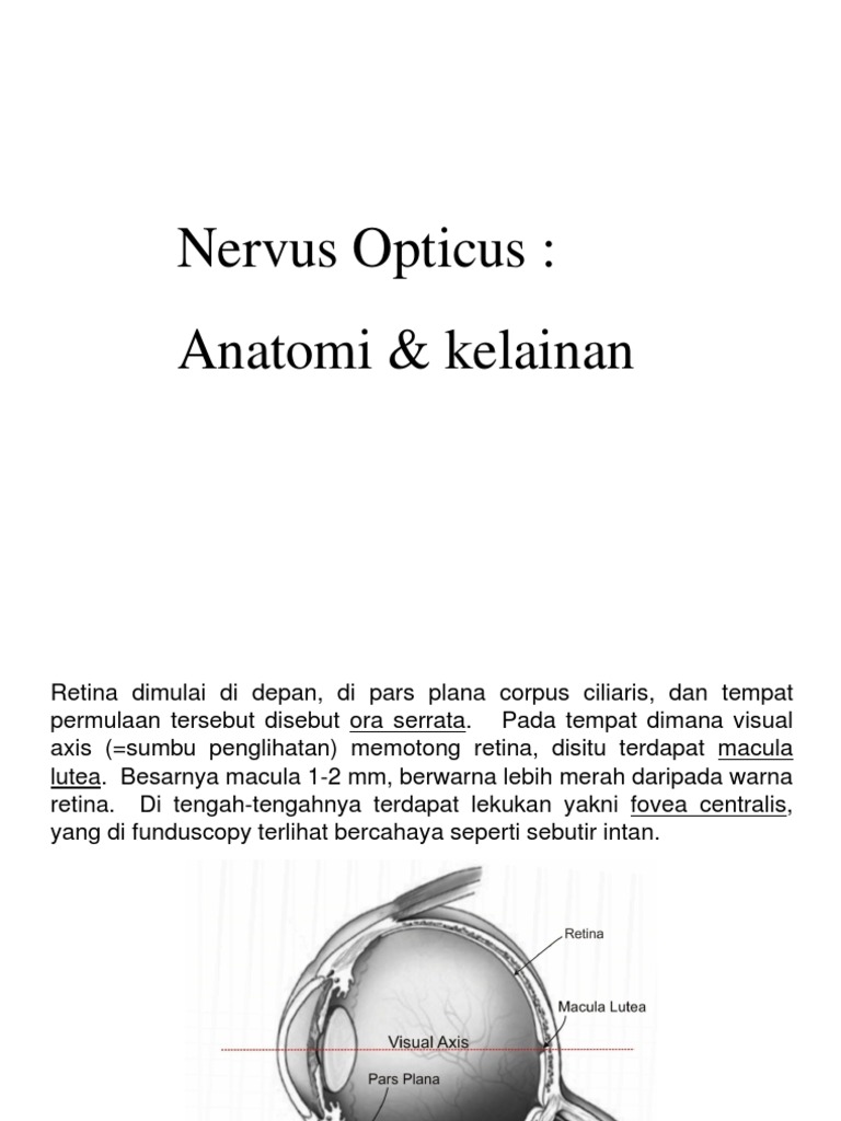 Anatomi dan Kelainan Nervus Opticus | PDF