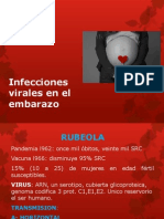 Infecciones Virales en El Embarazo