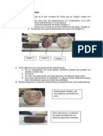 Informe Rocas Sedimentarias