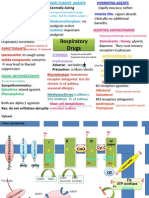 Respiratory Drugs: An Overview of Medications for Lung Conditions