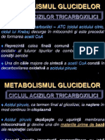 Curs Nr. 8 + 9 - Ciclul ATC