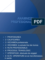 ANAMNEZA  PROFESIONALA