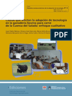 INTA Causas Afecta Adopcion Tecnologia Cuenca Del Salado