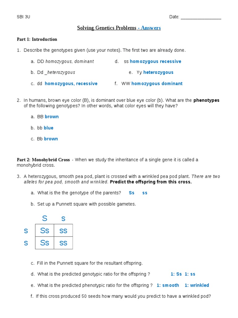 genetics problem solving answer key