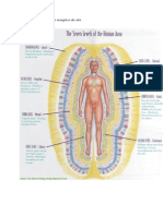 Aura Umana Si Cele 7 Nivele Energetice