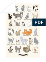 Cats Types