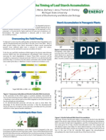 Engineering The Timing of Leaf Starch Accumulation - Arabidopsis "Proof of Concept"