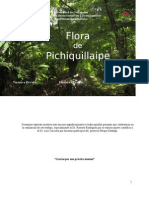 Flora de Pichiquillaipe, Parque Katalapi, X Región, Carretera Austral
