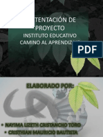 Sustentacion Pedagogia