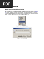 Basic Run Command Information