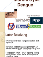 Sindrom Syok Dengue
