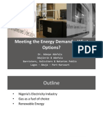 Meeting the Energy Demands- What Options