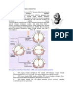 Posisio Oksipitalis Posterior Persisten