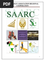 Project On Saarc