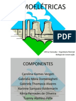 USINAS TERMOELÉTRICAS