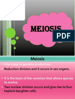 8. Meiosis