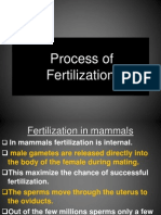 11. Process of Fertilization
