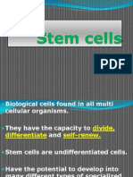 13. Stem Cells (2)