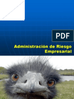 Riego Empresarial 1