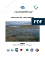SCS Seagrass Booklet