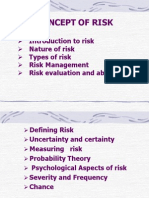 The Concept of Risk