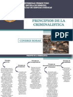 PRINCIPIOS DE LA CRIMINALISTICOS.pptx