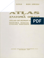 Atlas - Sistem Nervos Central (Ranga) Bucuresti, 1993