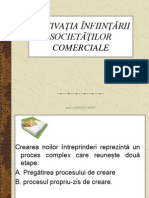 Motivaţia Înfiinţării Societăţilor Comerciale: Prof. Luminita Hagiu