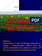 1. Manejo integrado de plagas y enfermedades - Fundo don Mario.pdf