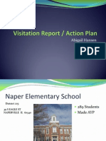 visitation report - action plan item