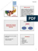 Morfofisiologia Del Sistema Nervioso