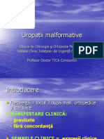 Uropatii malformative[1]