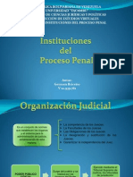 Instituciones Del Proceso Penal (Organizacion Judicial)