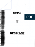 Geopulse Manual
