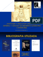 Anato y Fisio Vascular Periferico