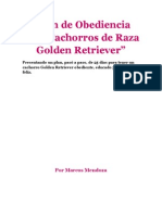 145633175 102949974 Cachorro Golden Retriever PDF