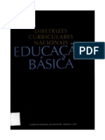 DIRETRIZES CURRICULARES NACIONAIS EDUCAÇÃO BÁSICA