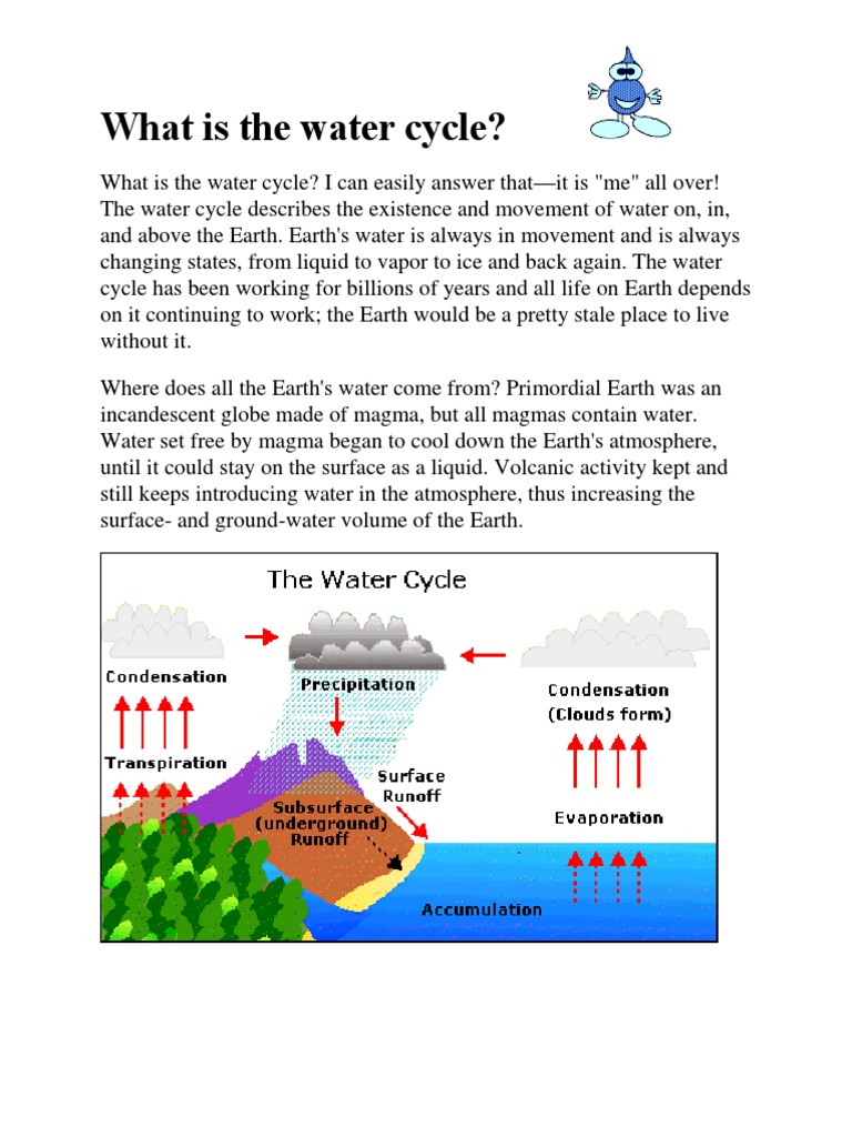 how to write an essay about water cycle