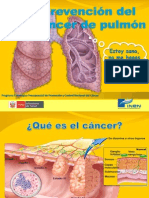4.1. ROTAFOLIO - Prevencion Del Cancer de Pulmon