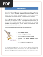 Elvek Labs Brief Overview