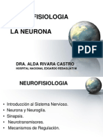 1. Neurona Fis n 2014