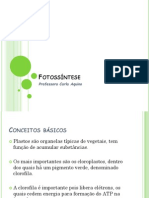 Fotossíntese PDF