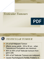 Carcinoma Testis, Penis, Prostat, BPH