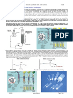 Purificacion Adn