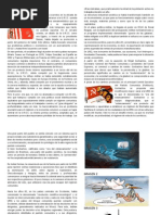 TEXTO II
