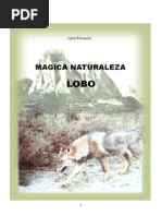 Jose Po Veda Magic a Natural Ez a Lobo